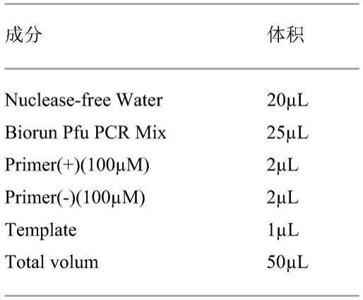 大白菜PAO基因及其在调控植物持绿性状中的应用