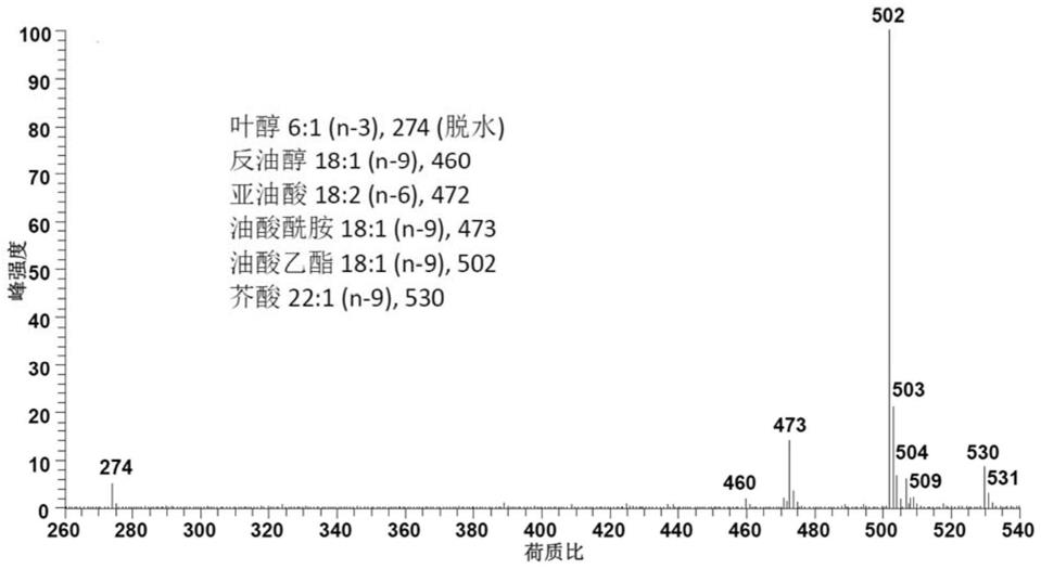 氯胺类衍生化试剂在双键位置鉴定中的应用