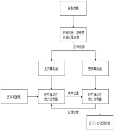 一种基于模型驱动元学习的乳腺癌分子亚型预测方法