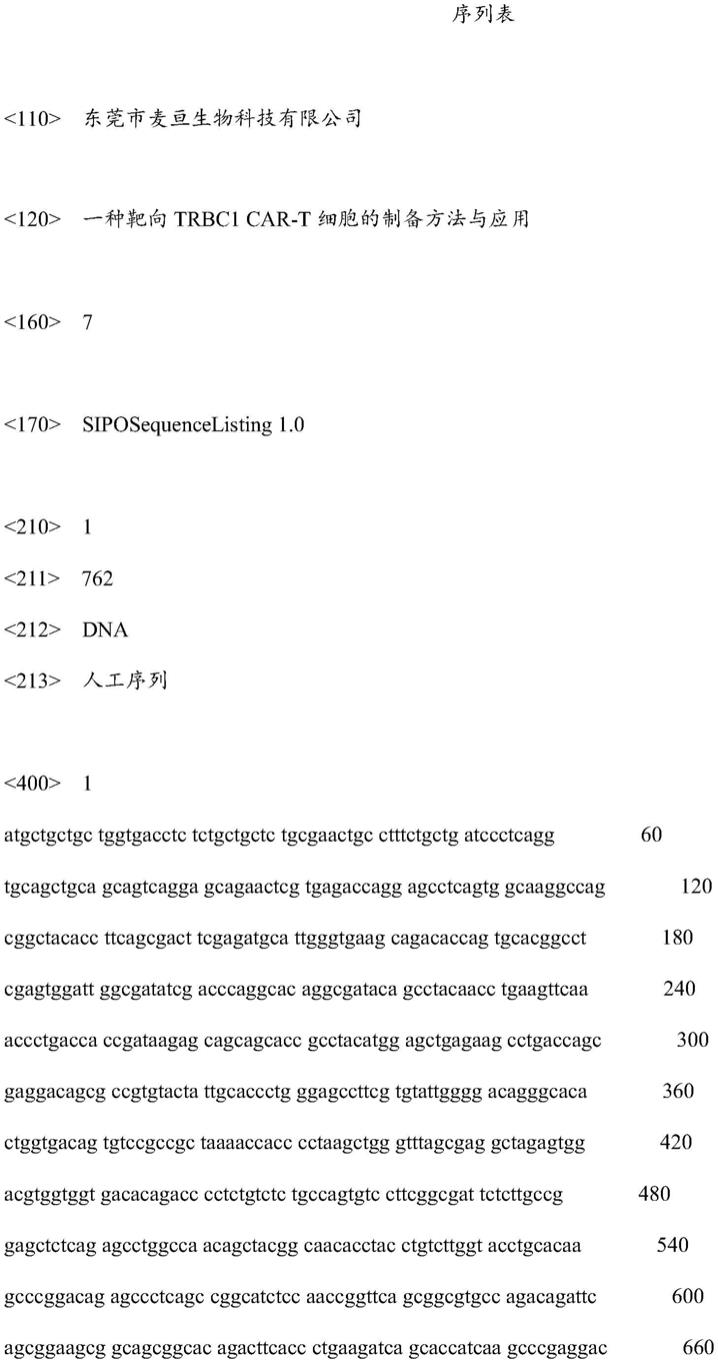 一种靶向TRBC1CAR-T细胞的制备方法与应用与流程