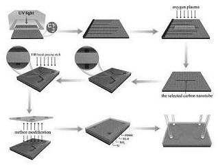 一种基于碳纳米管的纳流控芯片的制备方法