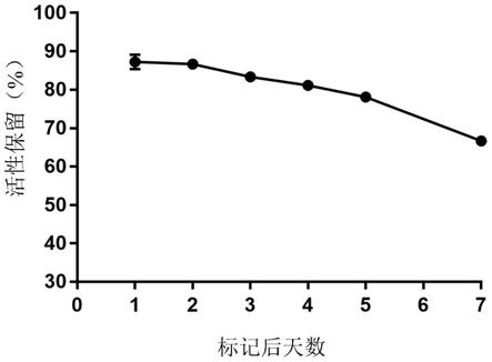 89的制作方法