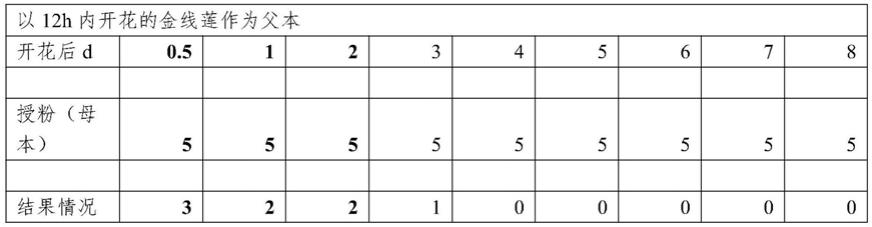 金线莲授粉方法与流程