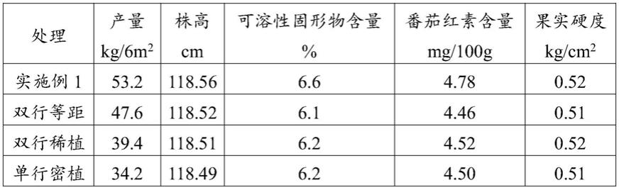 一种日光温室番茄的栽培方法与流程