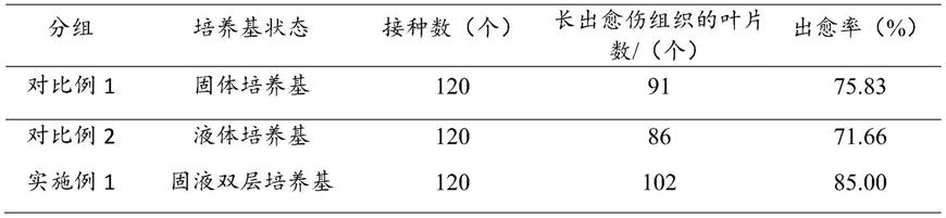 一种固液双层培养基及其制备方法和应用