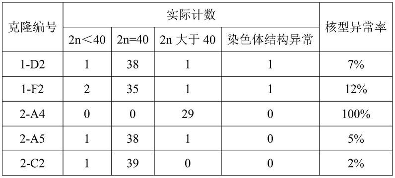 一种逆向跨多级神经示踪方法