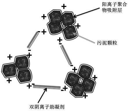 包含双阴离子助凝剂的聚丙烯酰胺组合物及其制备方法、用途与流程