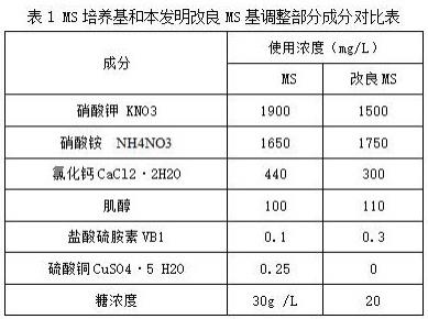 一种利用叶片生产盘龙参种苗的组培快繁的方法与流程