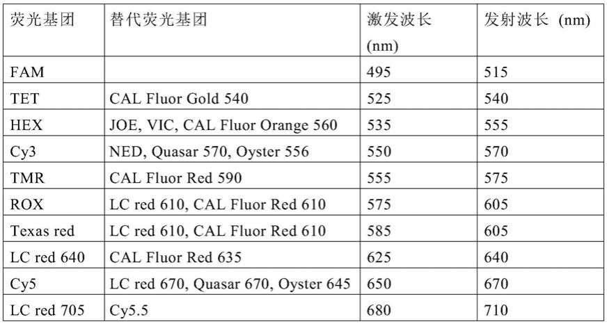 用于核酸检测的被编码的双链探针及其用途的制作方法