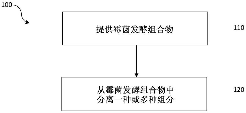 从霉菌发酵组合物分离丝状真菌和其它组分的方法及分离组分的用途与流程