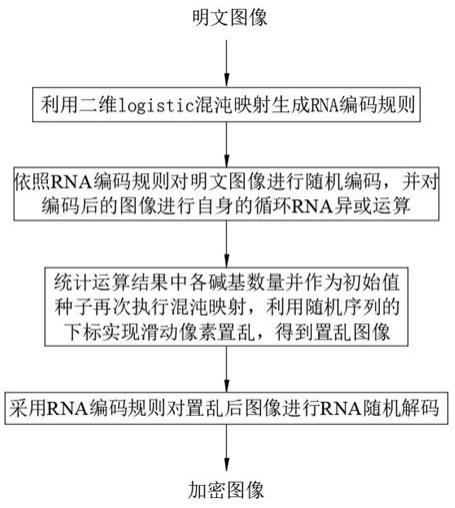 基于RNA的图像加密方法与流程