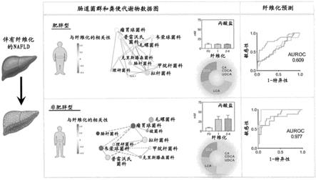 预测或诊断非酒精性脂肪肝病的试剂盒及诊断非酒精性脂肪肝病的方法与流程