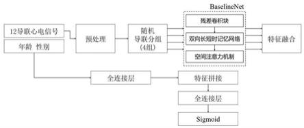 一种基于导联分组的12导联心电信号多标签分类方法与流程