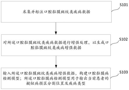 口腔黏膜病检测模型构建和预测方法、装置、终端及介质与流程