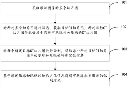 基于眼部CT图像的甲状腺相关眼疾识别方法和装置与流程