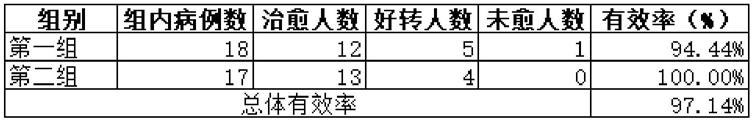 一种治疗支气管炎的药物及其制备方法与流程