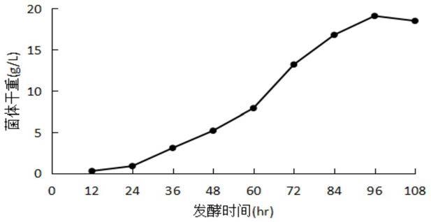 一株高耐硒灵芝突变体菌株及其应用