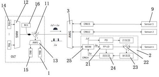 基于注入锁定光传感网络WDM-PON系统及信号传播方法与流程