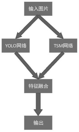 一种基于Yolo-TSM的轻量级实时监控异常行为检测方法