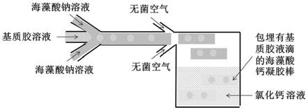 一种类器官基质胶微球及其制备方法和应用