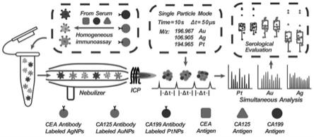 一种基于单颗粒电感耦合等离子体质谱的多组分均相免疫分析方法