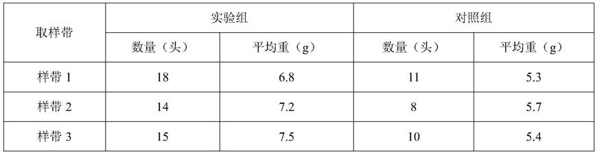 一种开放海域热带海参苗种底播增殖方法与流程