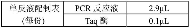 用于检测巴贝斯虫的引物探针组合物、试剂盒及方法与流程