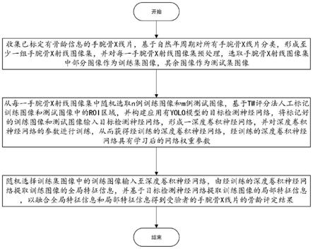 基于深度卷积神经网络和特征融合的骨龄评定方法、设备及计算机可读存储介质与流程