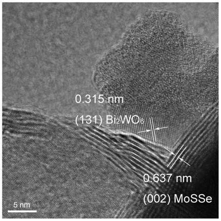 一种零维Bi2WO6-二维MoSSe异质结催化剂及其制备和应用
