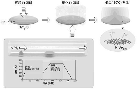 一种晶圆级贵金属单原子层催化剂及其制备和应用