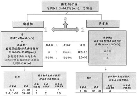 微乳剂组合物的制作方法