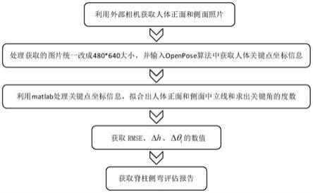 一种基于人体骨骼关键点的脊柱侧弯评估方法
