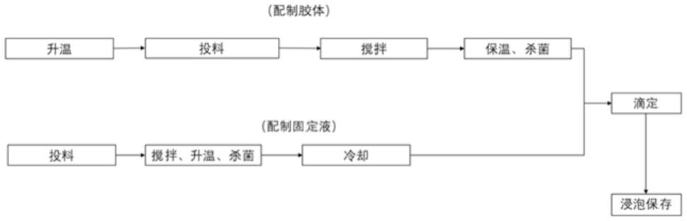 一种高钙晶球及其制备方法和高钙晶球常温酸奶与流程