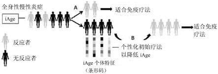 用于癌症免疫疗法的精准医学方法与流程