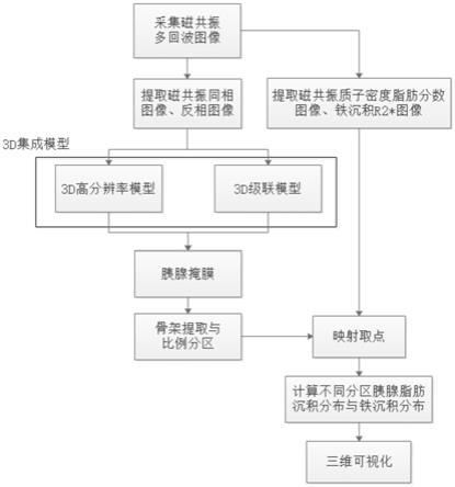 一种磁共振胰腺脂肪与铁沉积分布测定方法及系统