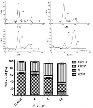 四氢喹喔啉磺酰胺衍生物及其制备方法与用途