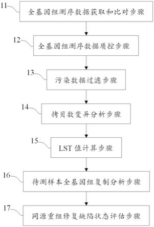 一种同源重组修复缺陷的评估方法、装置和存储介质与流程