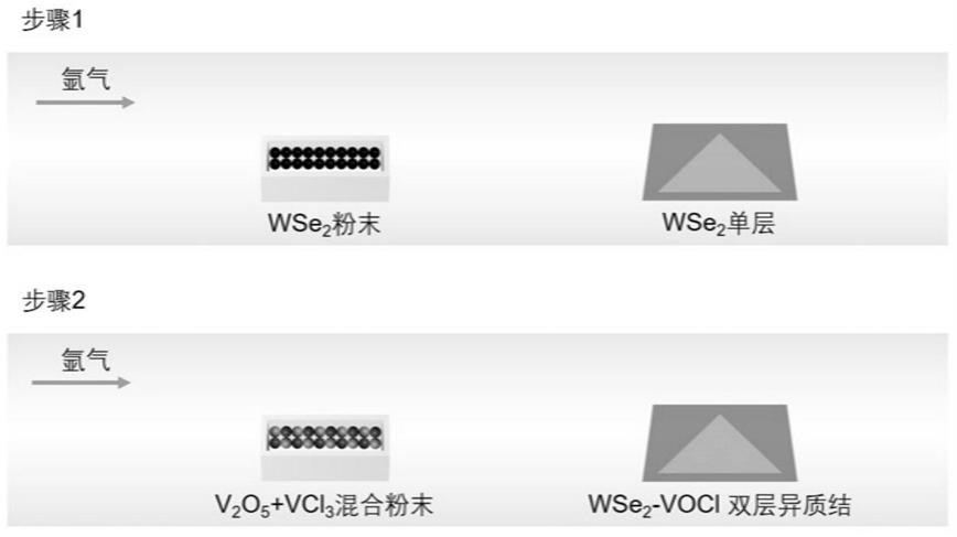 一种WSe2-VOCl垂直异质结纳米材料及其制备方法