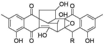 一种环系蒽醌类化合物及其制备方法和应用