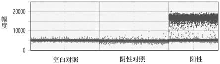 用于核酸检测的组合物的制作方法