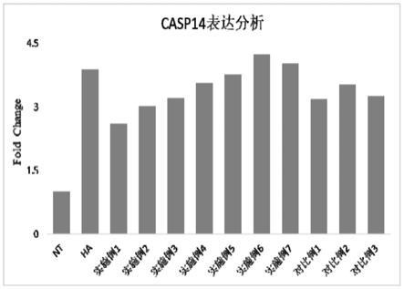 一种皮肤修护、抗衰的微生态组合物及其制备方法和应用与流程