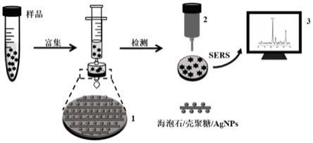 一种复合柔性SERS基底及其制备方法和应用