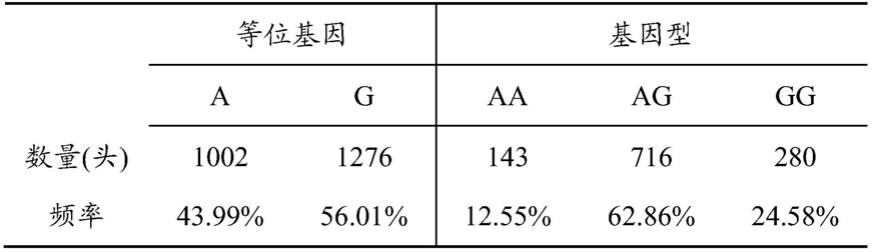 一种评价猪达100kg体重日龄的分子标记及其应用