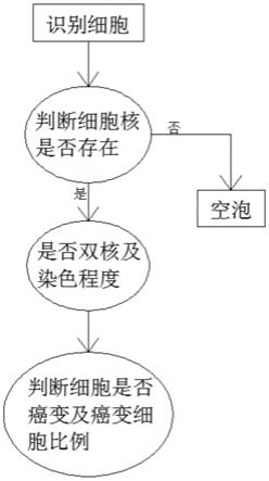 一种基于人工智能的宫颈涂片图像诊断方法与流程