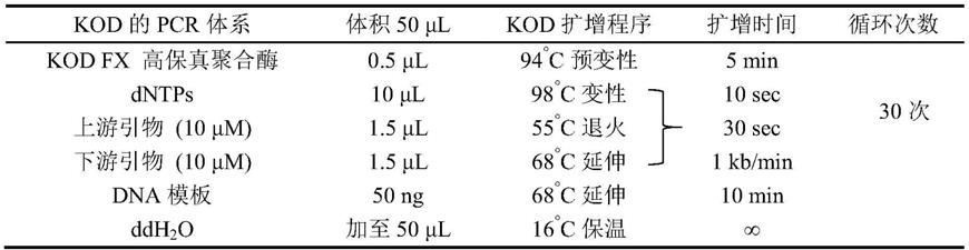 一种基因编码的无机镉荧光探针及其制备方法和应用