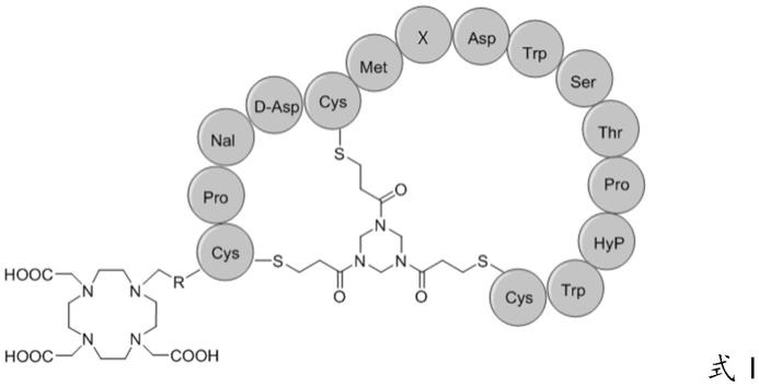 靶向Nectin-4的双环肽核素配体与探针