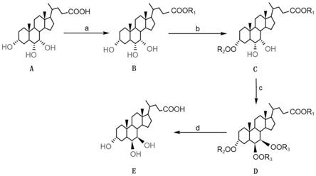 一种β-鼠胆酸的制备方法与流程
