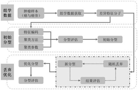 基于随机丢弃的肿瘤分子分型方法及系统