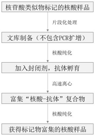 一种用于微量标记核酸样本检测和测序的样品制备方法