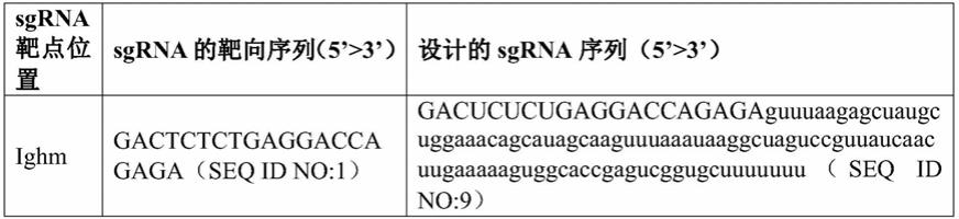 一种非人哺乳动物或其子代的制备方法及其应用与流程